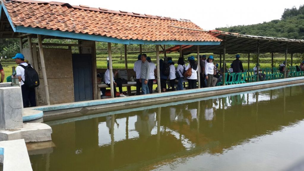 Perhimpi